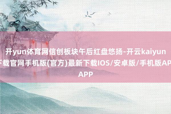 开yun体育网信创板块午后红盘悠扬-开云kaiyun下载官网手机版(官方)最新下载IOS/安卓版/手机版APP