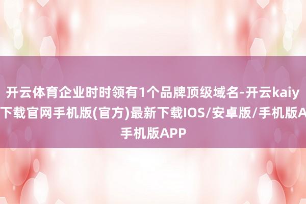 开云体育企业时时领有1个品牌顶级域名-开云kaiyun下载官网手机版(官方)最新下载IOS/安卓版/手机版APP