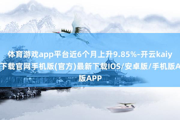 体育游戏app平台近6个月上升9.85%-开云kaiyun下载官网手机版(官方)最新下载IOS/安卓版/手机版APP