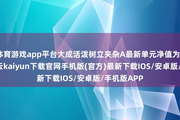 体育游戏app平台大成活泼树立夹杂A最新单元净值为2.849元-开云kaiyun下载官网手机版(官方)最新下载IOS/安卓版/手机版APP